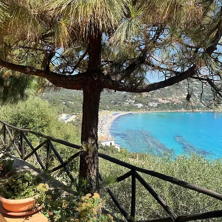 With A Splendid View *