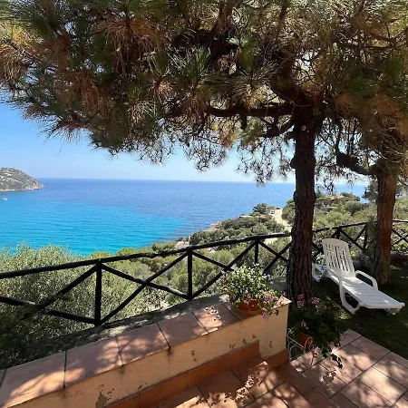 With A Splendid View *